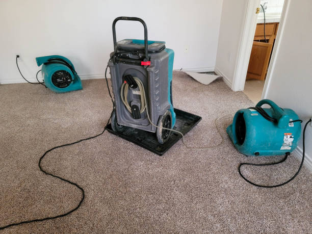 Best 24/7 water damage repair  in Camp Springs, MD