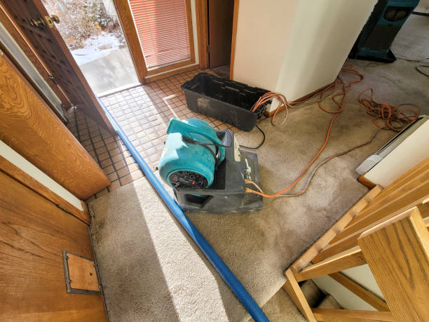 Water damage restoration insurance claims in Camp Springs, MD