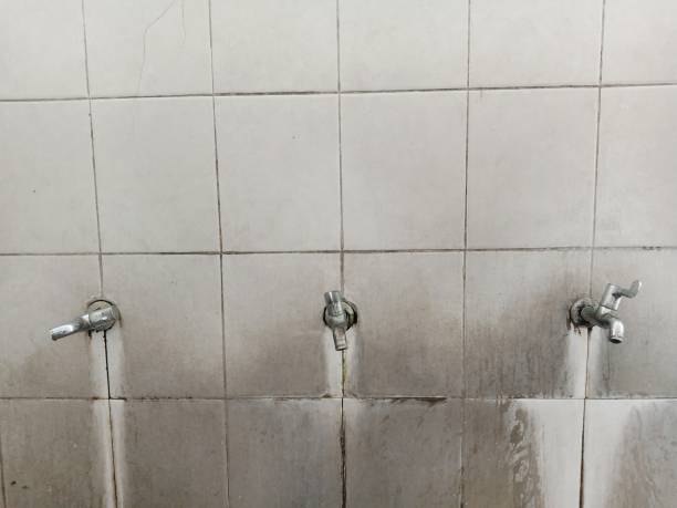 Best Carpet water damage restoration  in Camp Springs, MD