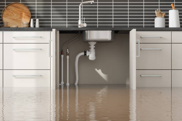 Best Professional water damage repair  in Camp Springs, MD